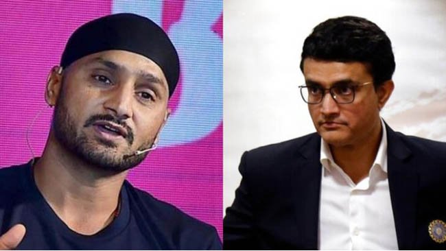 Hope Ganguly changes selection panel, need strong people: Harbhajan
