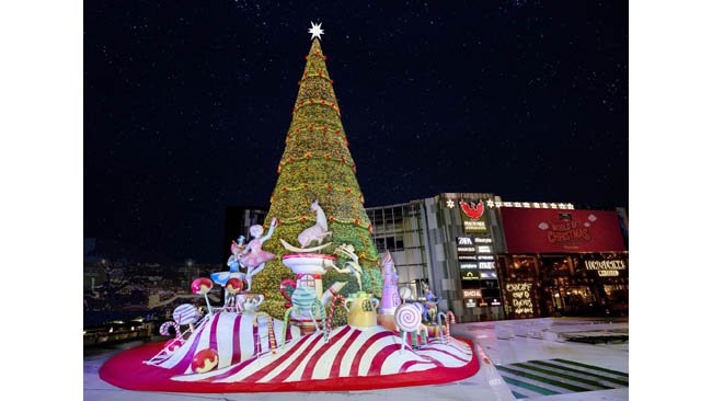 India's tallest Christmas Tree unveiled at Phoenix Marketcity Bengaluru