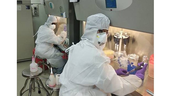 Researchers culture novel coronavirus, may help in drug testing and vaccine development