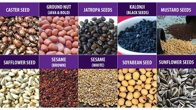 It’s high time that government should promote cultivation of Genetically Modified Oilseeds in the country: COOIT