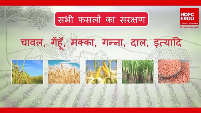 HDFC ERGO IMPLEMENTS PRADHAN MANTRI FASAL BIMA YOJANA FOR FARMERS IN RAJASTHAN FOR KHRAFI SEASON