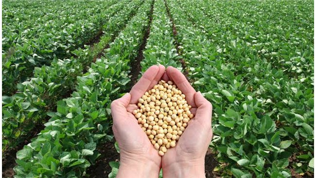 Permitting Pooled Data for Registration to help bio-stimulant industry immensely: AIM