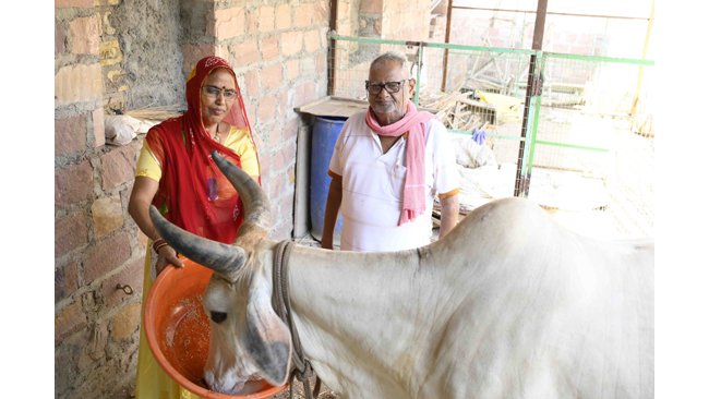 कल्टीवेटर नेचुरल प्रोडक्ट्स ने श्रीनारायणदास के नेतृत्व में गोरक्षा का कीर्तिमान स्थापित किया