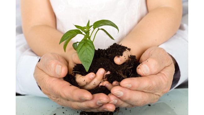 IHCL MARCHES TOWARDS ACHIEVING SUSTAINABILITY GOALS