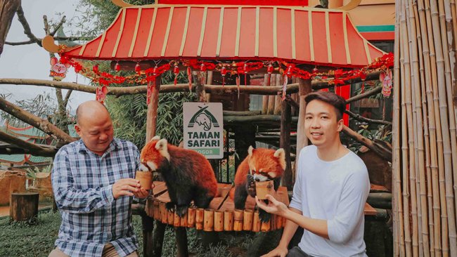 Taman Safari Indonesia Invites Indian Travelers on a Wildlife Conservation Journey A Must-Visit Destination for Indian Tourists