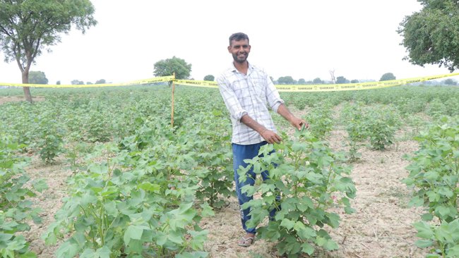 Shriram Saisho, a new-gen patented Insecticide, emerges as a Game-Changer for Cotton Farmers